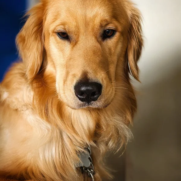 博彩网站棋牌游戏